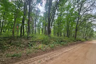 Tbd Tract C Richfield Road SW, Pillager, MN 56473 - Photo 1