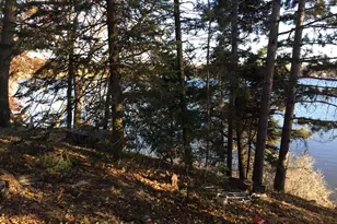 14203 285th Ave NW, Zimmerman, MN 55398 - Photo 9