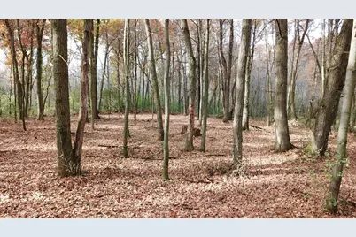 Tbd 165th Avenue SE, Santiago Township, MN 55319 - Photo 5