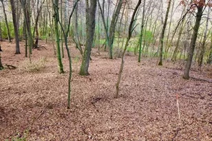 Tbd 165th Ave SE, Santiago Township, MN 55319 - Photo 7