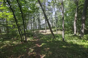 7972 Ruttger Rd, Pequot Lakes, MN 56472 - Photo 35