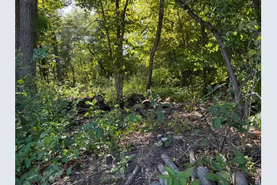 44015 100th Avenue, Holdingford, MN 56340 - Photo 13