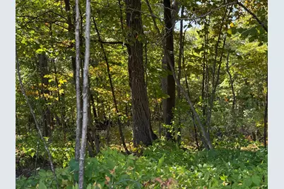 44015 100th Avenue, Holdingford, MN 56340 - Photo 17