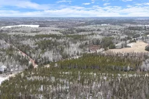 3Xxx County Road 904, Babbitt, MN 55706 - Photo 1