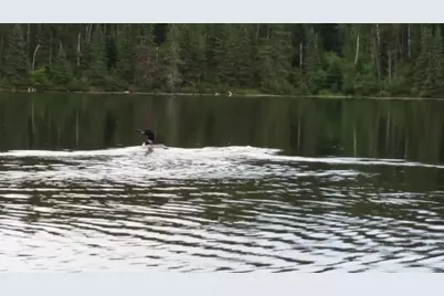 3Xxx County Road 904, Babbitt, MN 55706 - Photo 23