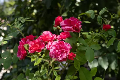 28361 S Buffalo Lake Road, Detroit Lakes, MN 56501 - Photo 65