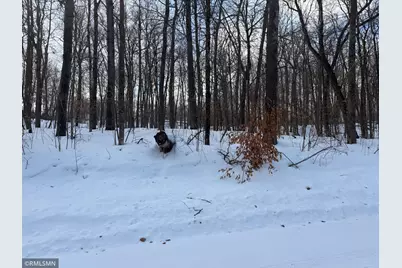 Tbd 193rd Avenue, McGregor, MN 55760 - Photo 3