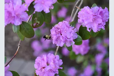 4838 Crown Lane, Woodbury, MN 55129 - Photo 75