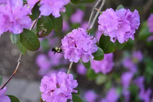 4838 Crown Ln, Woodbury, MN 55129 - Photo 75