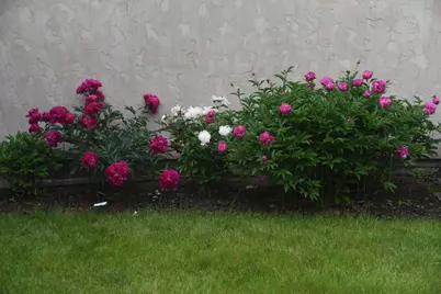 4838 Crown Lane, Woodbury, MN 55129 - Photo 77