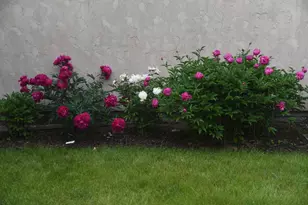 4838 Crown Ln, Woodbury, MN 55129 - Photo 77