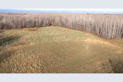 11680 County 59 Road, Orr, MN 55771 - Photo 5