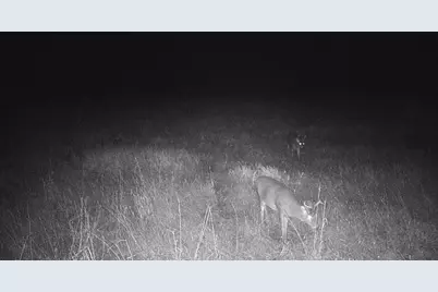 11680 County 59 Road, Orr, MN 55771 - Photo 21