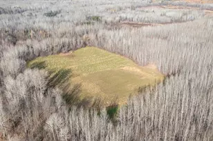 11680 County 59 Rd, Orr, MN 55771 - Photo 1