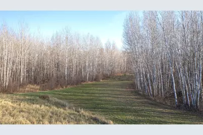 11680 County 59 Road, Orr, MN 55771 - Photo 9