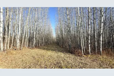 11680 County 59 Road, Orr, MN 55771 - Photo 15