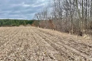 Tbd Co Hwy 1, Underwood, MN 56586 - Photo 1