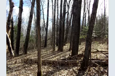 Tbd Goshawk Street, McGregor, MN 55760 - Photo 5