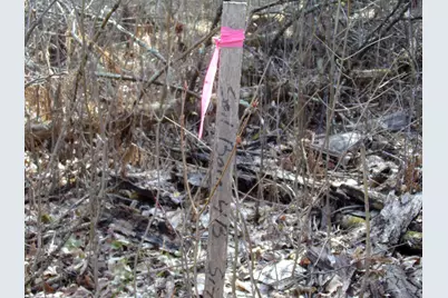 Tbd Goshawk Street, McGregor, MN 55760 - Photo 7