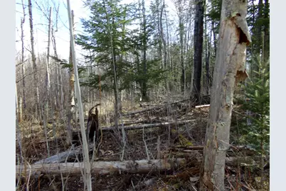 Tbd Goshawk Street, McGregor, MN 55760 - Photo 13