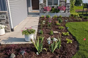 259 Lori Ln, Delano, MN 55328 - Photo 37