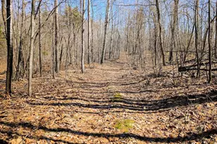 17341 Co Hwy M, New Auburn, WI 54757 - Photo 55