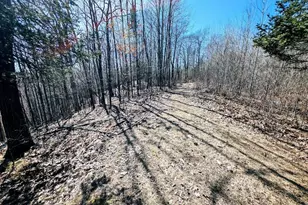 17341 Co Hwy M, New Auburn, WI 54757 - Photo 59