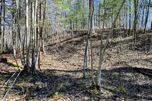 17341 Co Hwy M, New Auburn, WI 54757 - Photo 53