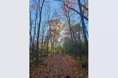 10551 Lanesboro Way, North Branch, MN 55056 - Photo 17