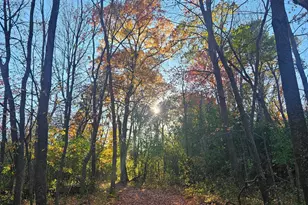 10551 Lanesboro Way, North Branch, MN 55056 - Photo 17