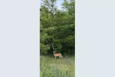 585 W. Lake Street, Vergas, MN 56587 - Photo 11