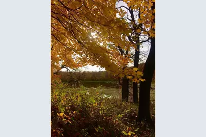 585 W. Lake Street, Vergas, MN 56587 - Photo 9