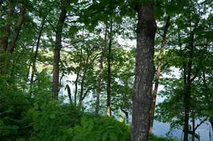 N1003 Deerhead Point Dr, Chetek, WI 54728 - Photo 21