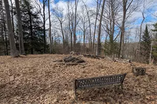 N1003 Deerhead Point Dr, Chetek, WI 54728 - Photo 5