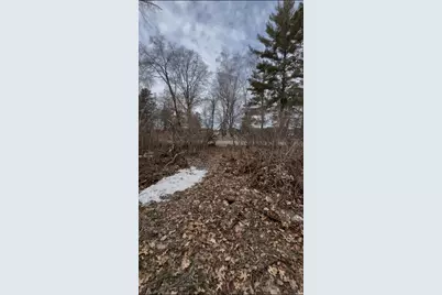Tbd Big Pine Trail, Crosslake, MN 56442 - Photo 5