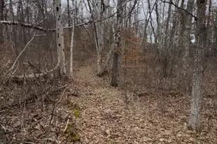 Tbd Big Pine Trail, Crosslake, MN 56442 - Photo 1