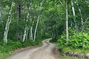 25393 Horn Dr, Park Rapids, MN 56470 - Photo 33