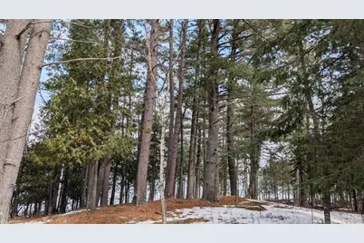 1317 N Pioneer Road, Ely, MN 55731 - Photo 13