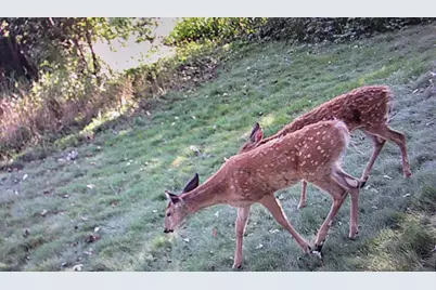 941 Oak Crest Drive, Sauk Rapids, MN 56379 - Photo 57