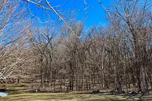 9200 County Rd 3 NW, Oronoco, MN 55960 - Photo 75