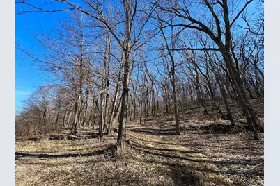 9200 County Road 3 NW, Oronoco, MN 55960 - Photo 77