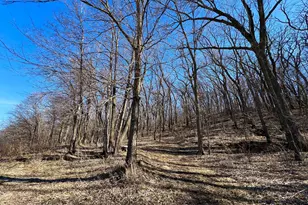 9200 County Rd 3 NW, Oronoco, MN 55960 - Photo 77