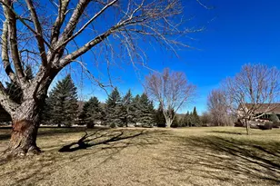 9200 County Rd 3 NW, Oronoco, MN 55960 - Photo 63