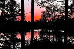 13699 Mill Rd, Ely, MN 55731 - Photo 67