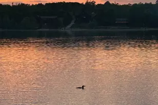 14062 Big Pine Trail, Crosslake, MN 56442 - Photo 45