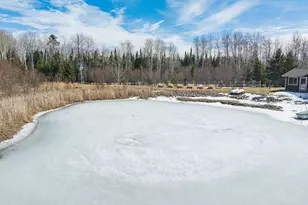 41200 State Hwy 286, Bigfork, MN 56628 - Photo 33