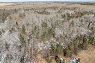 41200 State Hwy 286, Bigfork, MN 56628 - Photo 45