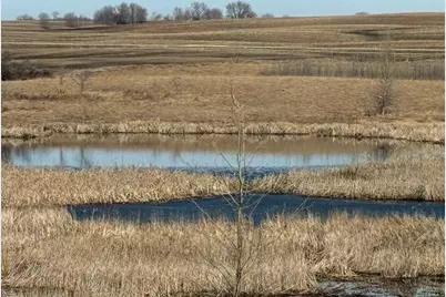 27181 Cr-10, Starbuck, MN 56381 - Photo 7