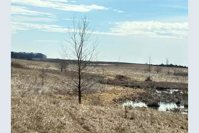 27181 Cr-10, Starbuck, MN 56381 - Photo 5