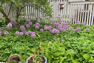 5441 Ridgeway St, White Bear Township, MN 55110 - Photo 65